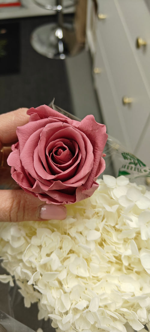 Hempeys - vanha roosa kukka-asetelma nukkuvista kukista